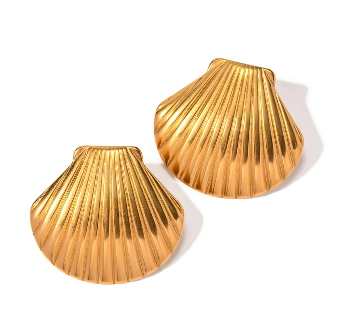 Shell Earrings